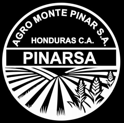 Logo de PINARSA